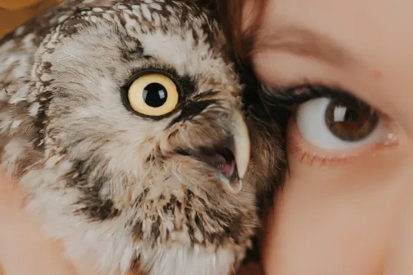 Betitall Casino Supporto